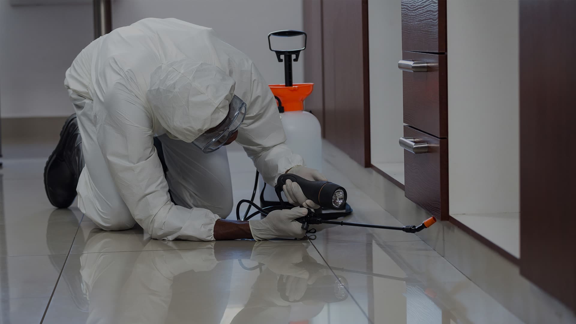 Sharjah Municipality Approved Pest Control Company
