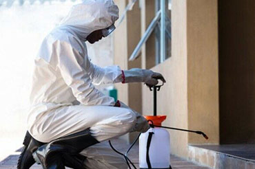 Commercial pest control services in Sharjah