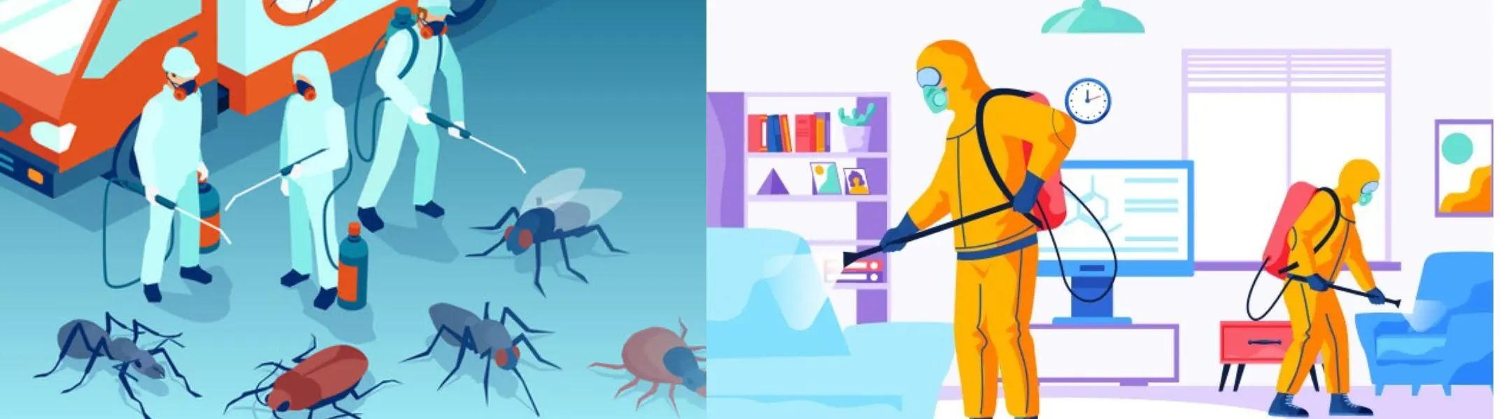 Termite Pest Control Services