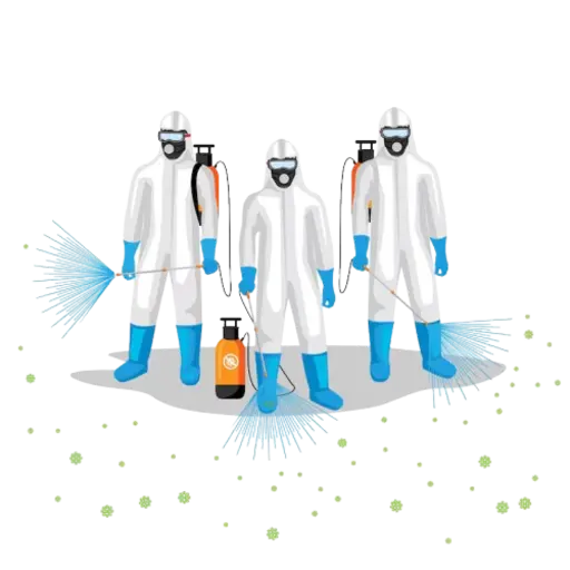 Ant Control services Sharjah