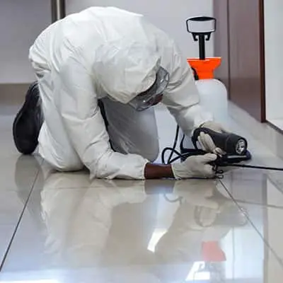 Municipality Approved Pest Control Company Sharjah 
